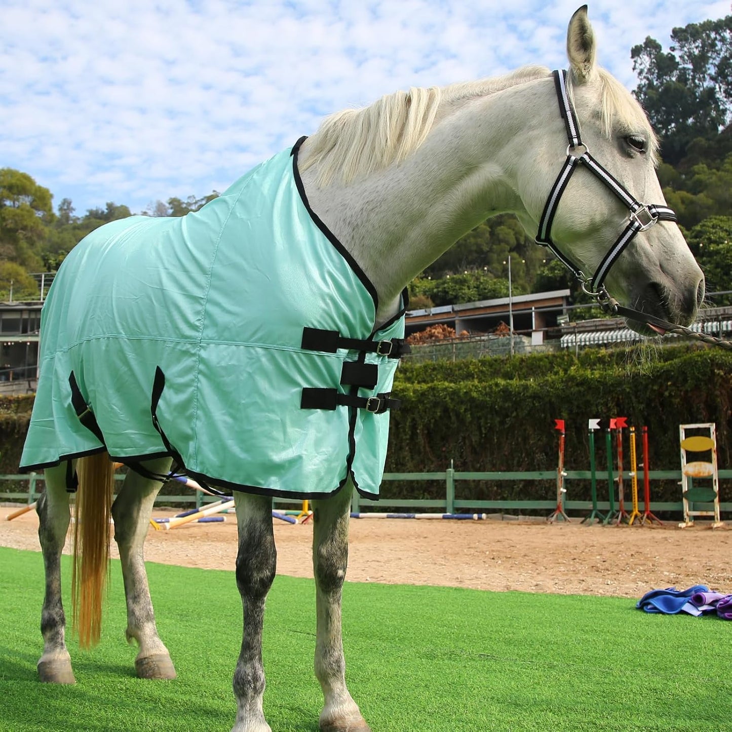 Horse Fly Sheet, Standard Neck Comfy Mesh Fly Sheet for Horses, Equine Summer Sheets UV-Protective Green 75