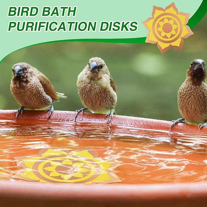 Saillong 4 Pack Bird Bath Copper Disk, Reinforced 99.99% Pure Copper Bird Bath - Image 7