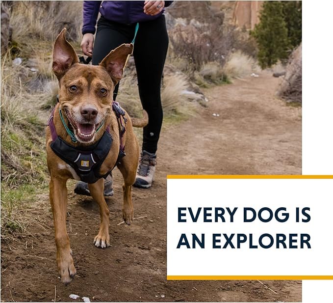 Ruffwear, Web Master, Hiking and Trail Running, Service and Working, Everyday - Image 9