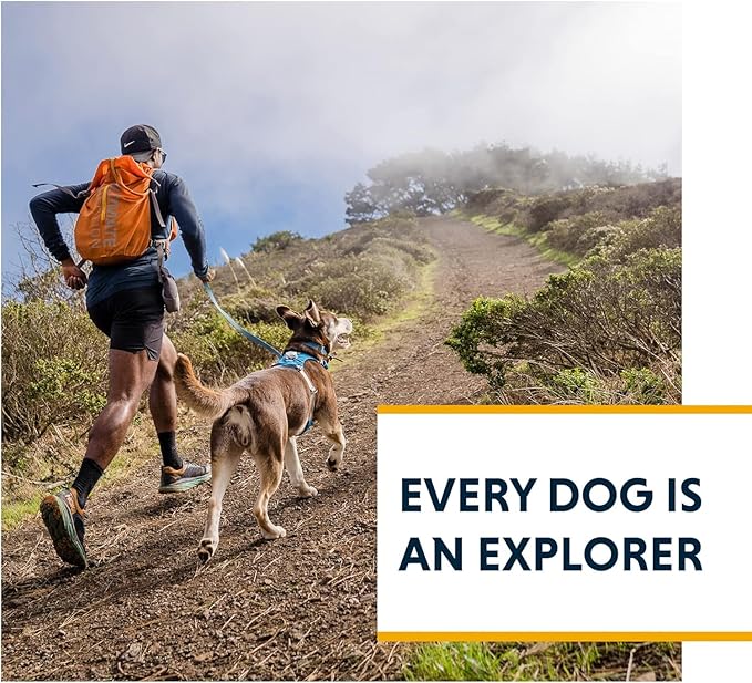 Ruffwear, Hi & Light, Everyday Lightweight Dog Harness, Trail Running, All-Day - Image 9