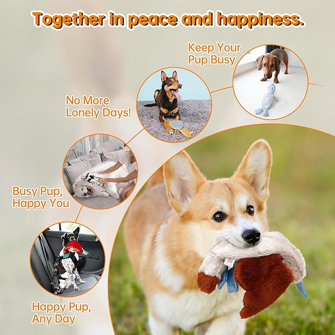 Nocciola Squeaky Dog Toys, No Stuffing Dog Toys - Image 7