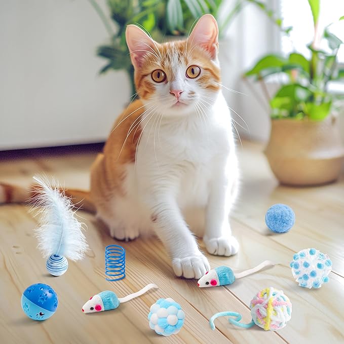 MALLMALL6 Cat Toy Set Interactive Cat Toys 10Pcs Pack Including Cat Springs - Image 7