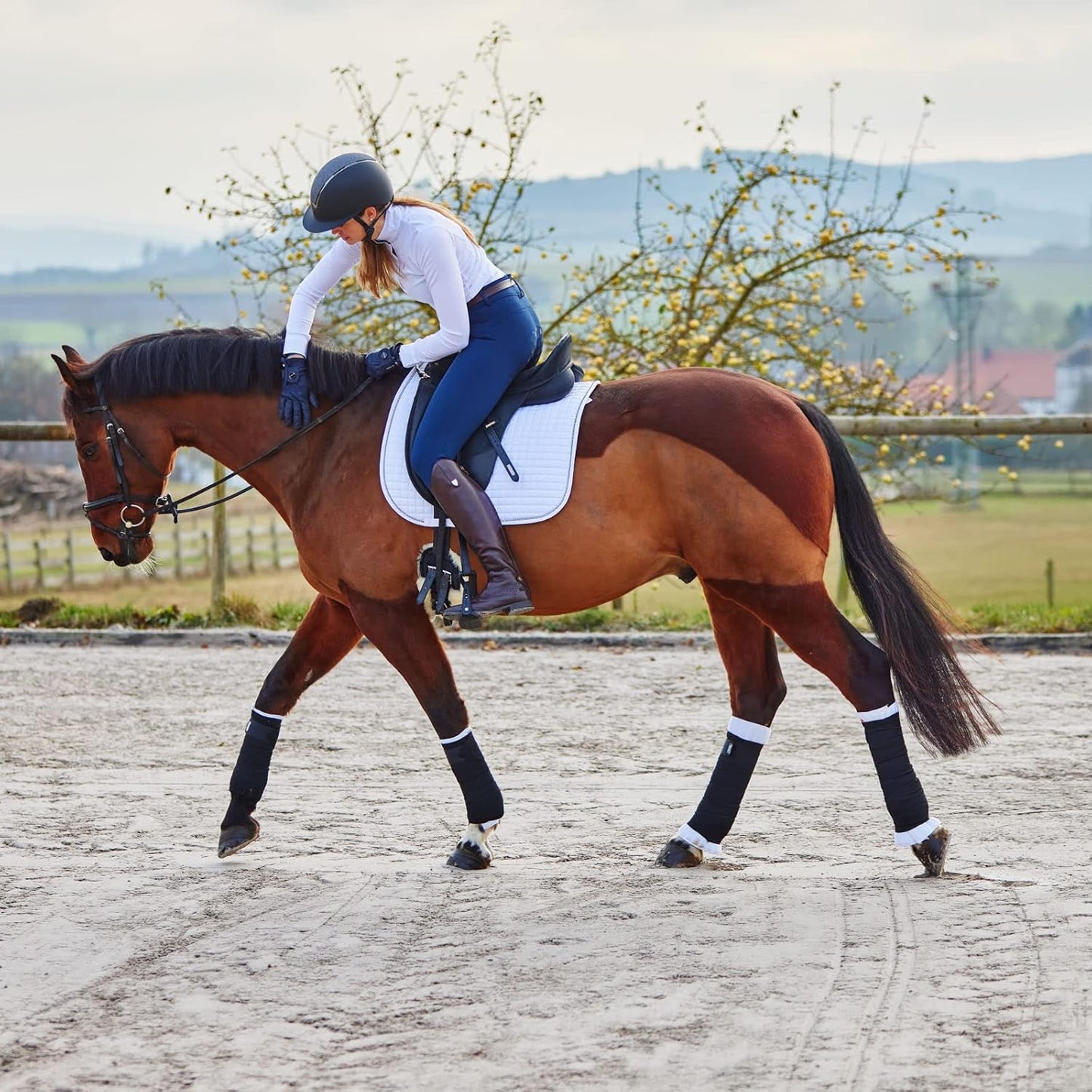 HORZE Rear Leg No Bow Equine Standing Wraps Pair - Off-White - Pony