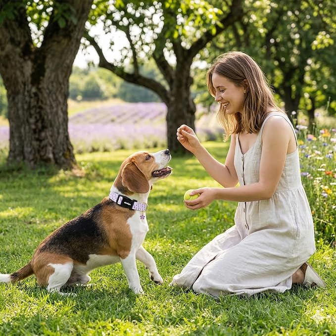 Dog Collar for Extra Small Dogs, Spring Purple Dog Collars - Image 7