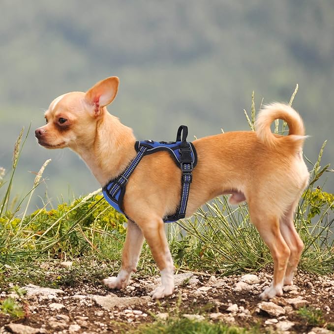 rabbitgoo Dog Harness No Pull - Image 8