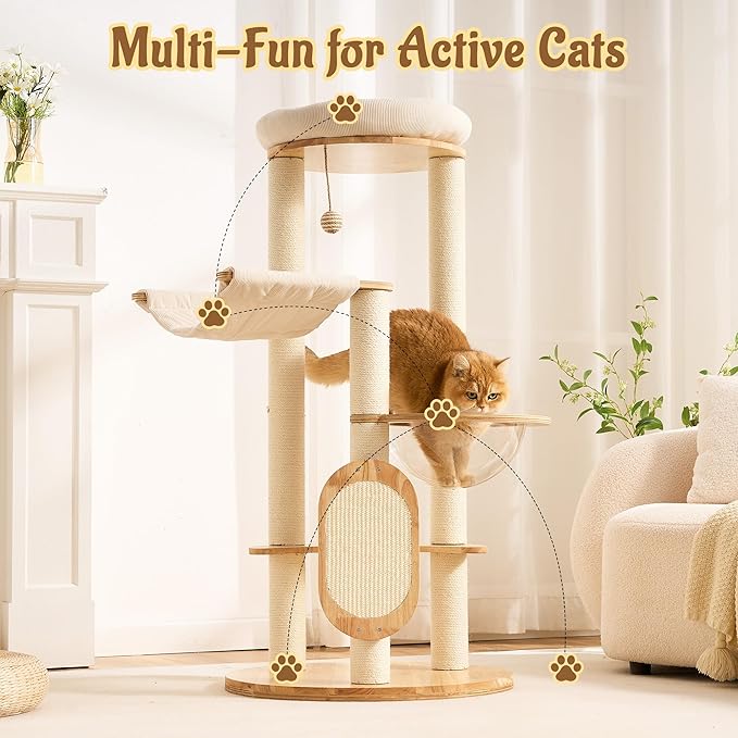Modern Solid Wood Cat Tree for Indoor Cats Up to 15lbs, Large Cat Bed, Capsule - Image 9