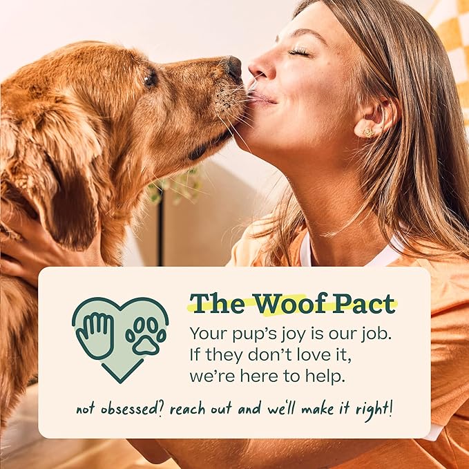 WOOF Party Pupsicle - Image 8