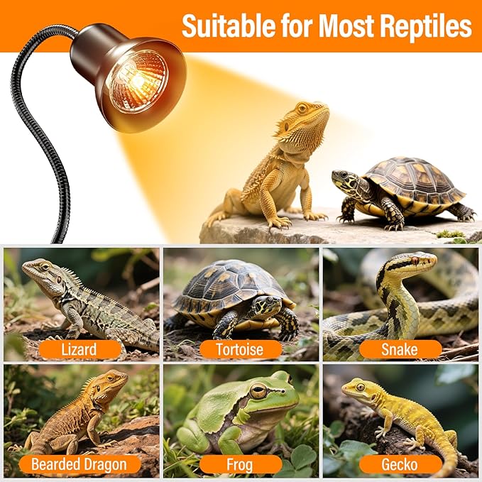 TFNN Reptile Heat Lamp, Heat Lamp - Image 7