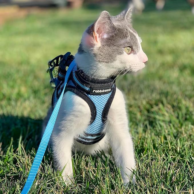 rabbitgoo Cat Harness and Leash, Step-in Escape Proof Kitten Harness Set - Image 9