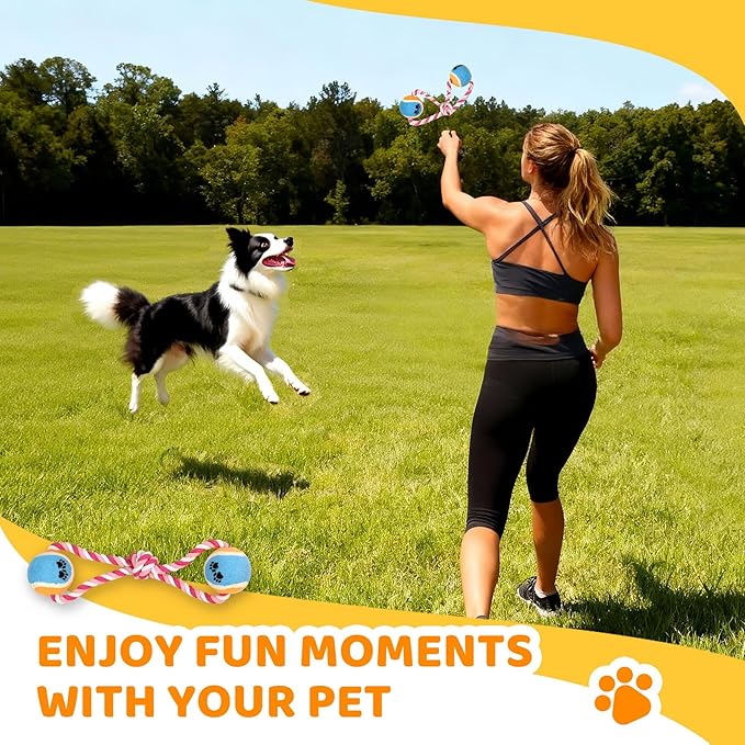 POPMOON Agility Training Equipment - Image 7