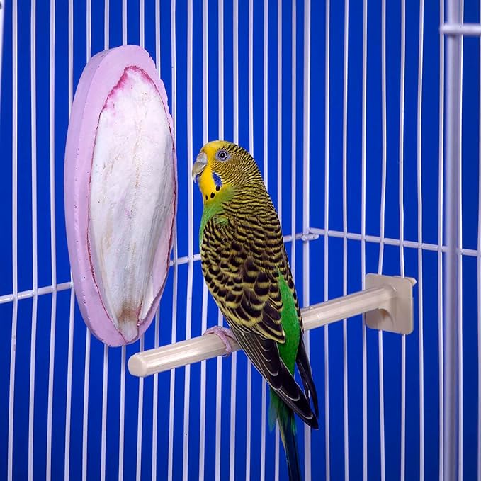 Penn-Plax Bird-Life 2-in-1 E-Cuttlebone & Mineral Block, 1 Pack - Image 6