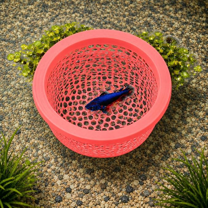 Floating Betta Fish Shrimp, Betta or Shrimp Feeder, Cave Hammock, Small Fish - Image 6