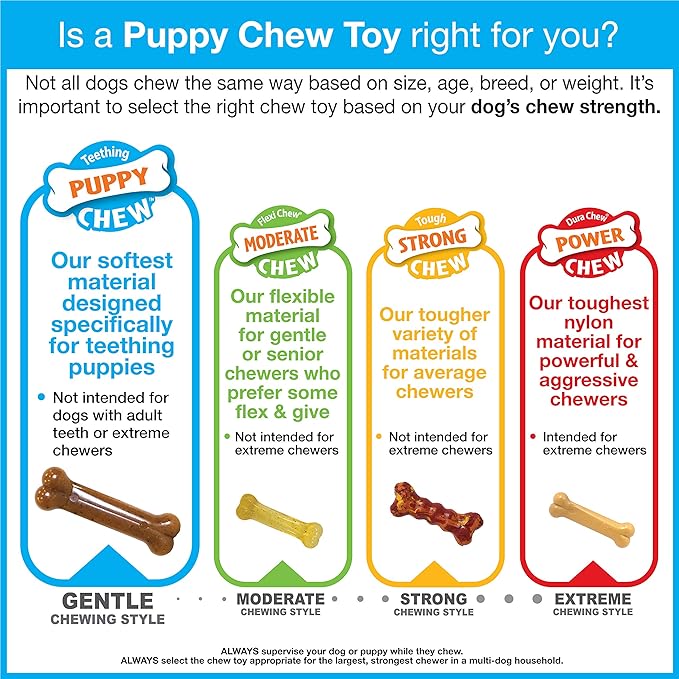 Nylabone Ring Bone Puppy Chew Toy - Image 14