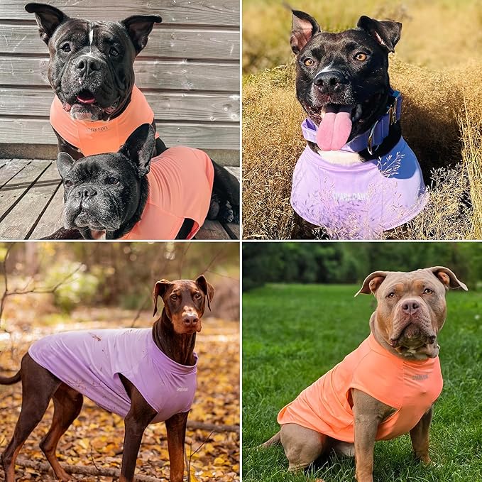 Spark Paws Sunblock Dog T-Shirt, SPF30 Protection, Lightweight Breathable Quick - Image 6