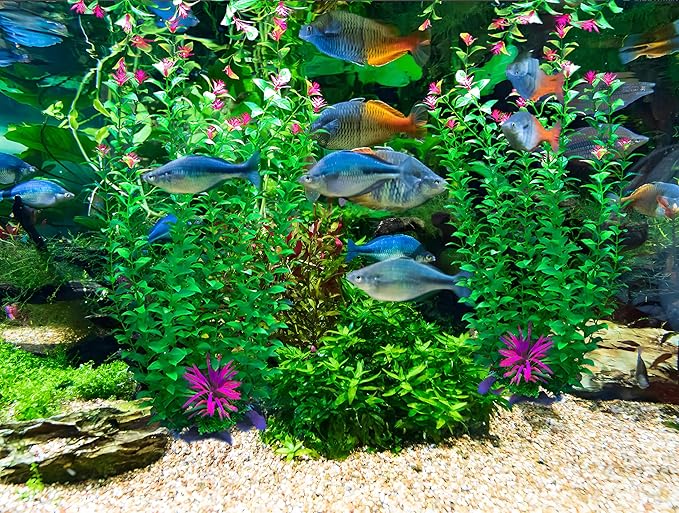 2 pcs Aquarium Decor Plants 21 Inches Extra Large Artificial Plastic Fish Tank - Image 9