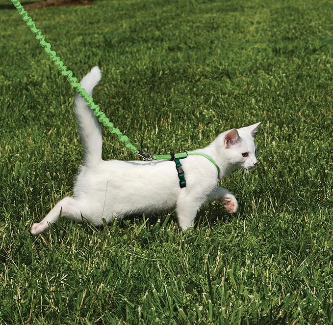 PetSafe Come with Me Kitty Harness and Bungee Leash - Image 3