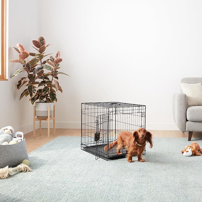 Amazon Basics Portable, Foldable Metal Wire Small Dog Crate - Image 5