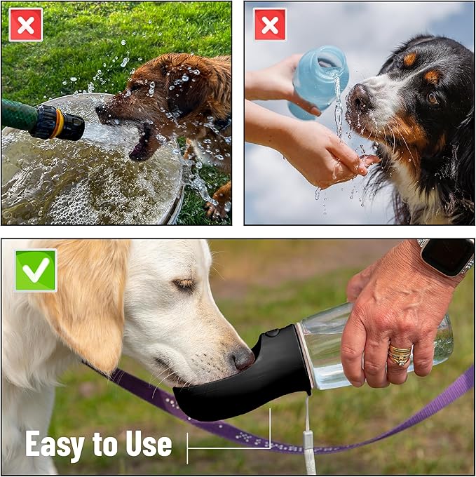 Mr. Pen- Portable Dog Water Bottle, 19 oz, Leak Proof Puppy Water Dispenser - Image 7