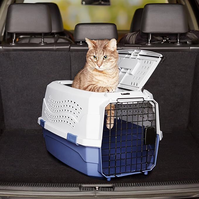 Amazon Basics Sturdy Portable 2-Door Top-Load Hard-Sided Pet Travel Carrier - Image 10