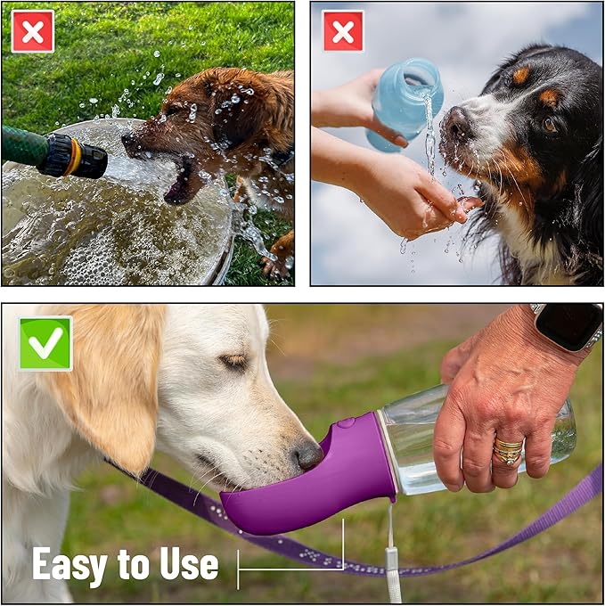 Mr. Pen- Portable Dog Water Bottle, 19 oz, Leak Proof Puppy Water Dispenser - Image 7