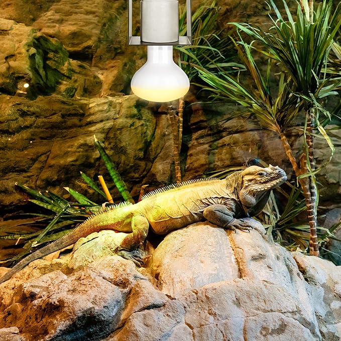 Reptile Ceramic Socket, Heat Lamp Holder - Image 7