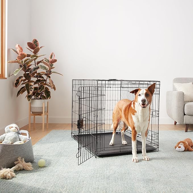 Amazon Basics Portable, Collapsible Metal Wire Dog Crate - Image 6