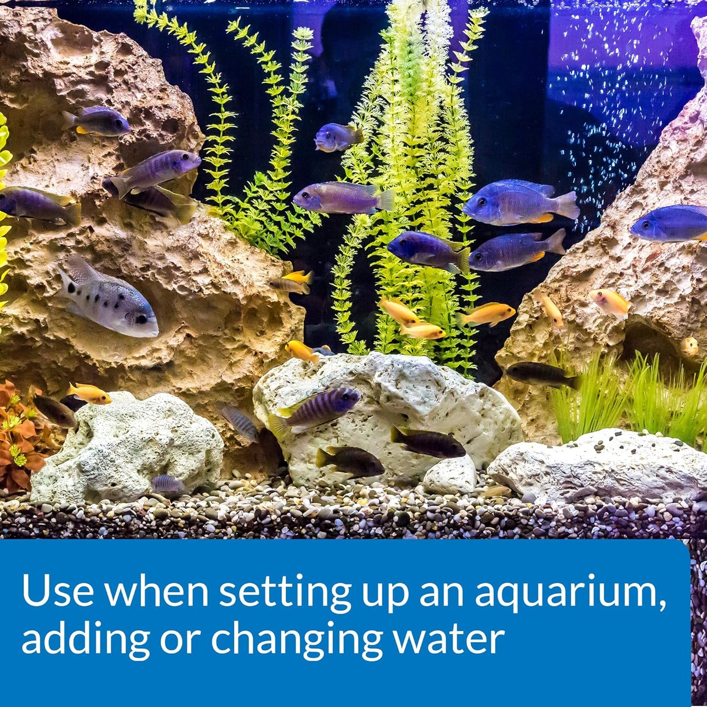 API QUICK START Freshwater and Saltwater Aquarium Nitrifying Bacteria and API TAP WATER CONDITIONER Aquarium Water Conditioner Bundle