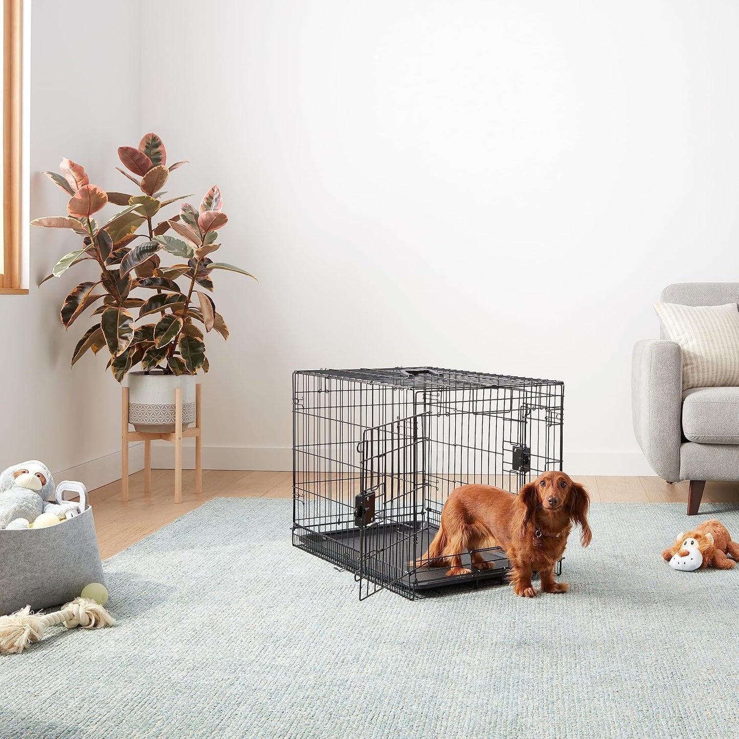 Amazon Basics Durable,Foldable Metal Wire Dog Crate with Tray, Double Door, 30 x 19 x 21 in, Black