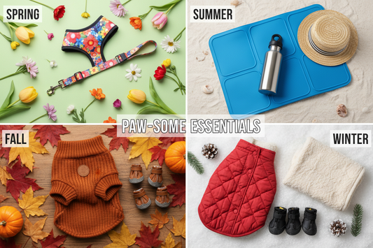 Must-Have Pet Gear for Every Season