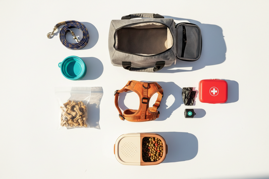 Travel Essentials Every Dog Owner Needs