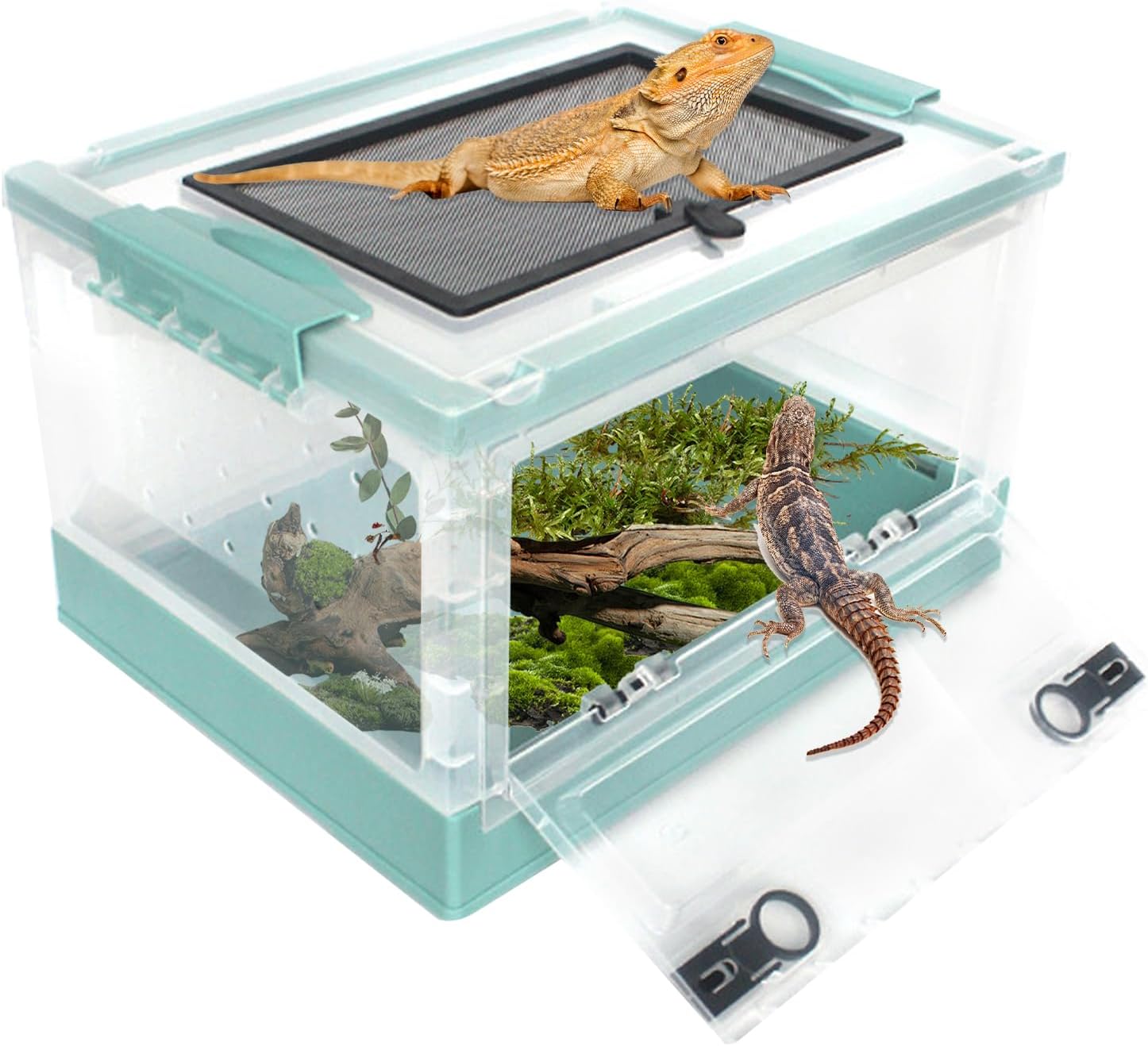 Terrariums