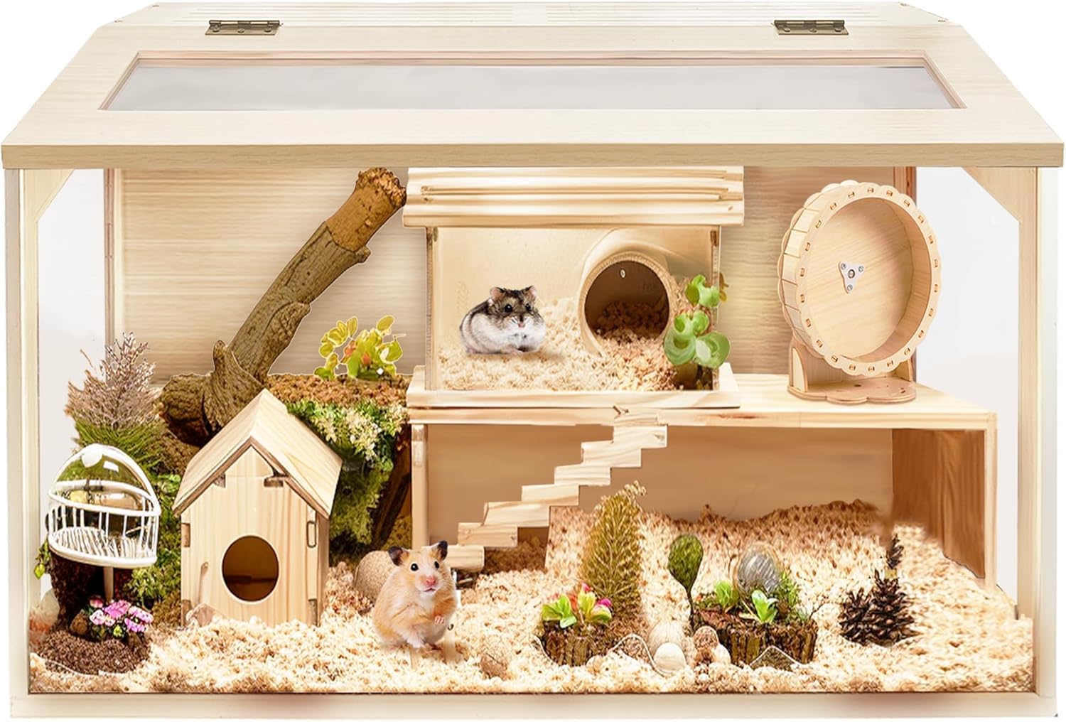 Houses & Habitats
