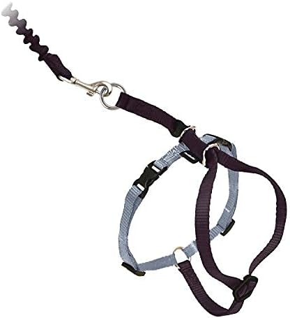 PetSafe Come with Me Kitty Harness and Bungee Leash Adjustable, Lightweight - Image 4