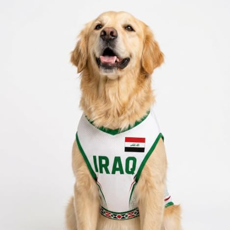 V-DECORPARKS Personalized Pet Soccer Jersey Custom Name Number Dog Cat Football - Image 2