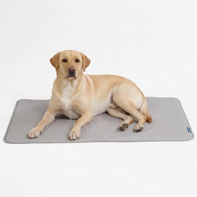 Spark Paws Cooling Mat for Dogs by SparkPaws