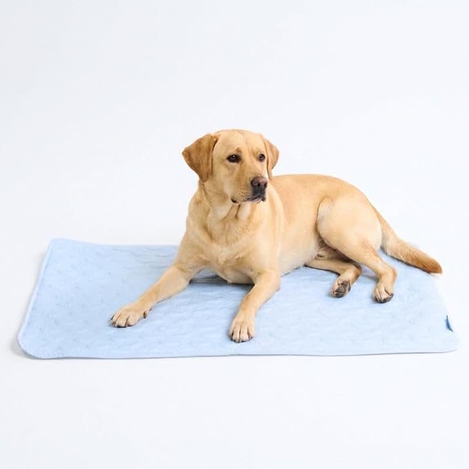 Spark Paws Cooling Mat for Dogs by SparkPaws