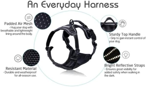 rabbitgoo Dog Harness No Pull - Image 9