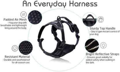 rabbitgoo Dog Harness No Pull - Image 9