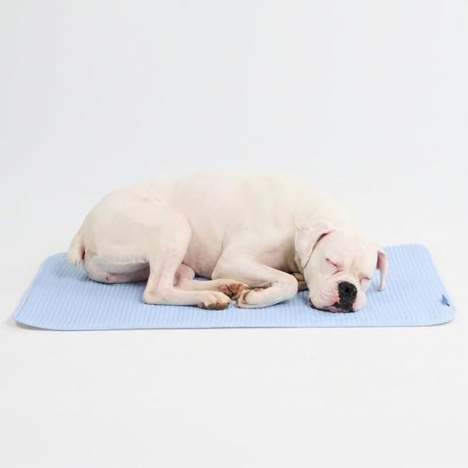 Spark Paws Cooling Mat for Dogs by SparkPaws