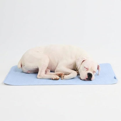 Spark Paws Cooling Mat for Dogs by SparkPaws