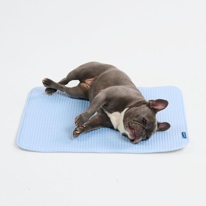 Spark Paws Cooling Mat for Dogs by SparkPaws
