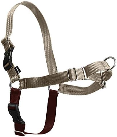 PetSafe Easy Walk No-Pull Dog Harness - Image 4