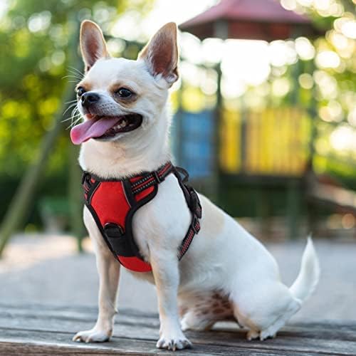 rabbitgoo Dog Harness No Pull - Image 8