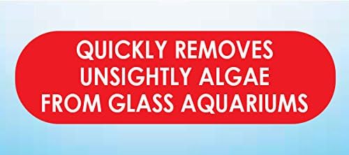 API HAND HELD ALGAE PAD For Glass Aquariums 1-Count Container - Image 3