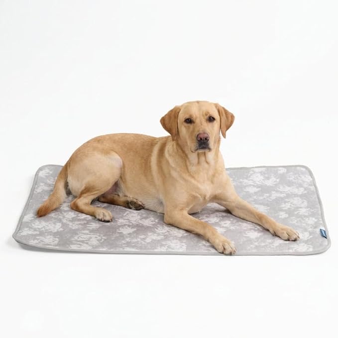 Spark Paws Cooling Mat for Dogs by SparkPaws