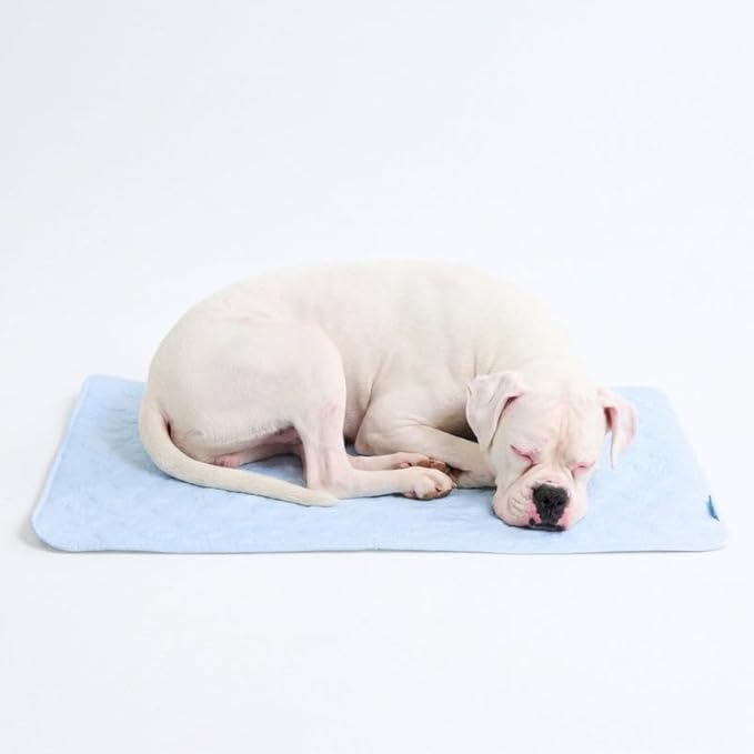 Spark Paws Cooling Mat for Dogs by SparkPaws