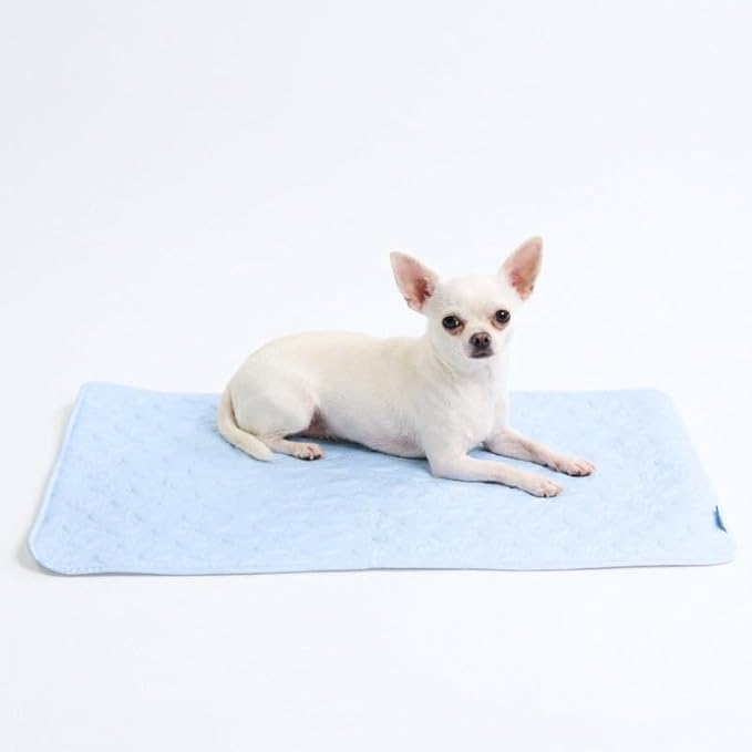 Spark Paws Cooling Mat for Dogs by SparkPaws