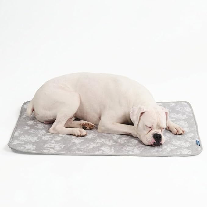 Spark Paws Cooling Mat for Dogs by SparkPaws