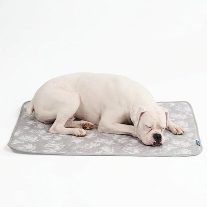Spark Paws Cooling Mat for Dogs by SparkPaws