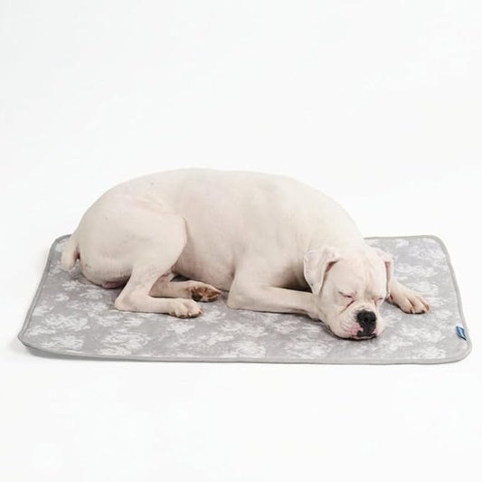 Spark Paws Cooling Mat for Dogs by SparkPaws
